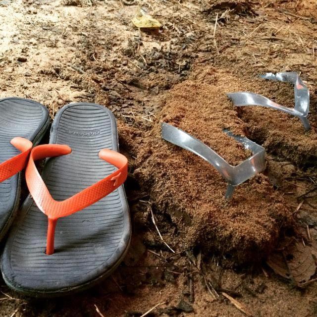 Belebar Studio Room Taman Negara Pahang Malaysia Kuala Tahan Zewnętrze zdjęcie