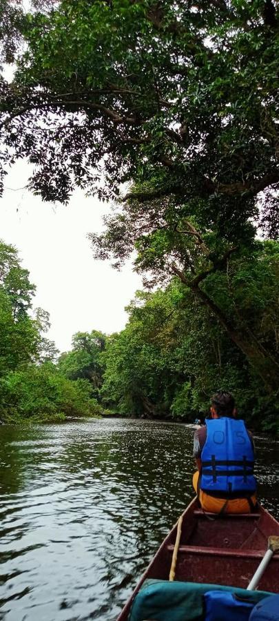Belebar Studio Room Taman Negara Pahang Malaysia Kuala Tahan Zewnętrze zdjęcie